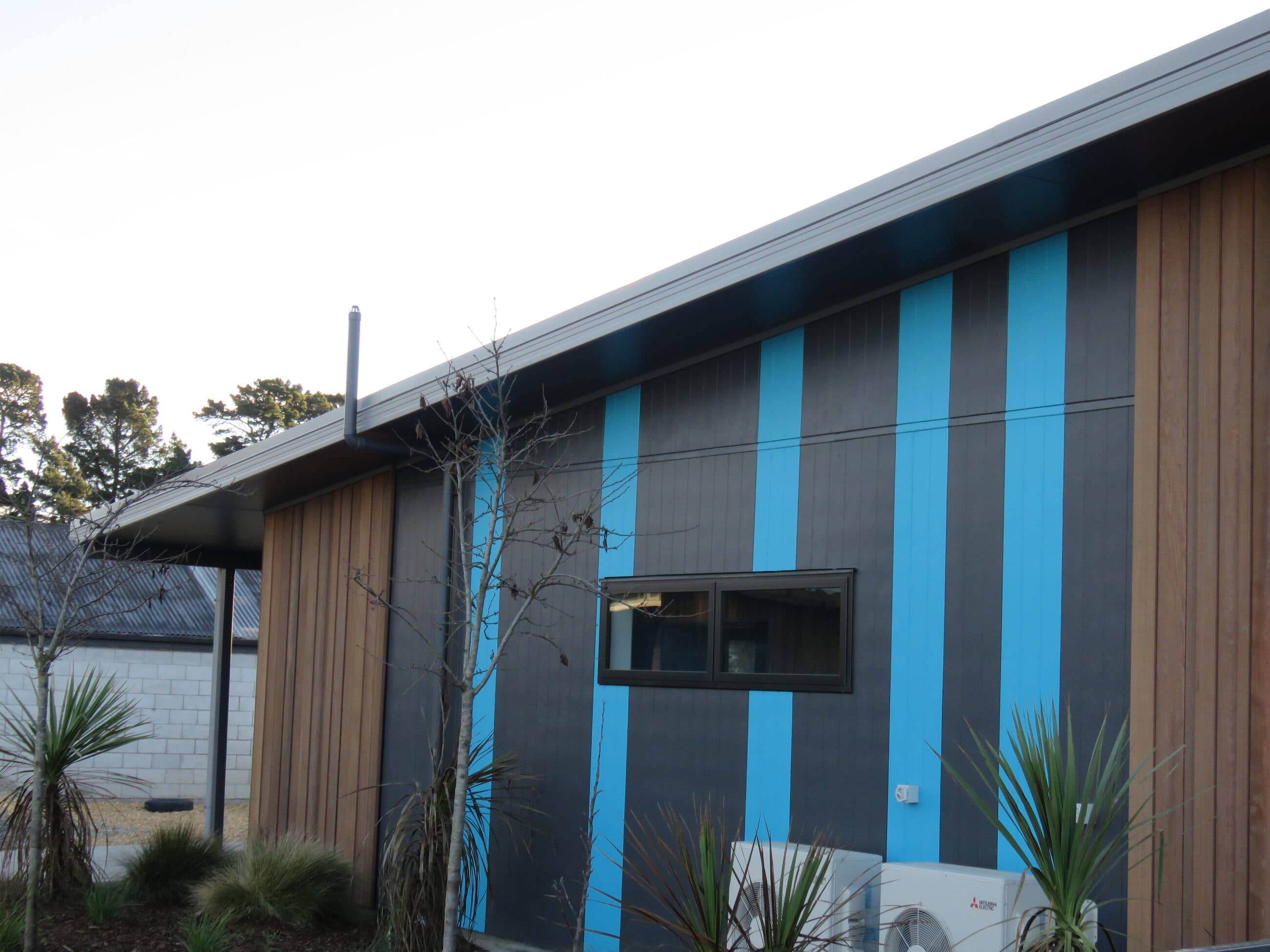 A cladding detail: blue and charcoal vertical battens meeting cedar, with new planting below.